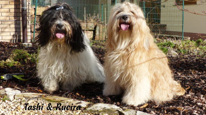 Harsch042021Tashi & Rucira ILT mit Text