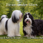 "Soul Children" (Tibet Terrier) PLZ 26817