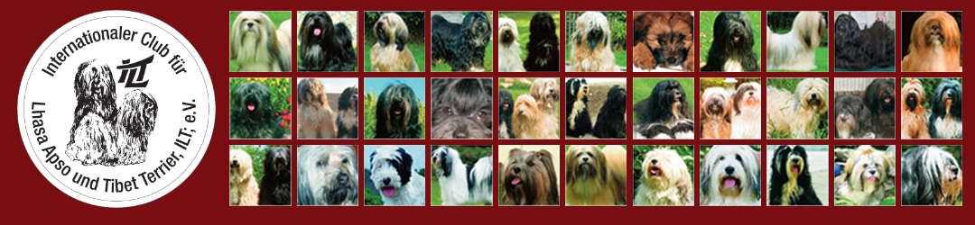 Internationaler Club für Lhasa Apso und Tibet Terrier e.V.