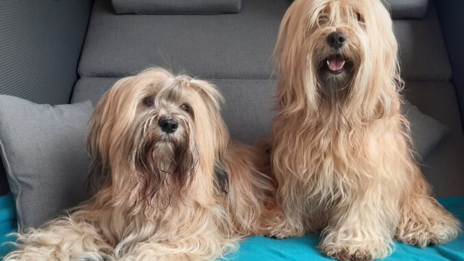 Huebers07202220220729_144237-01