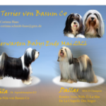 "von Basum Co" (Tibet Terrier) PLZ 67308